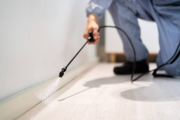 Bed Bug Pre-Treatment Preparation Assessment in Crownpoint
