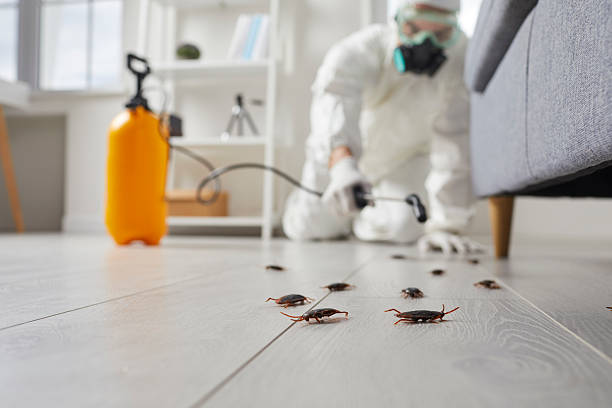 Post-Treatment Bed Bug Interceptor Monitoring in Crownpoint