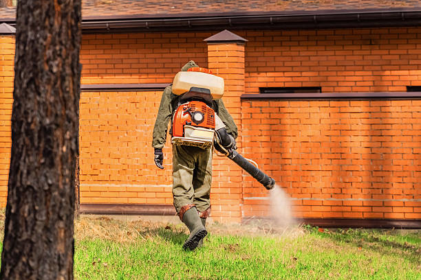Bed Bug Clearance Verification and Documentation in Crownpoint
